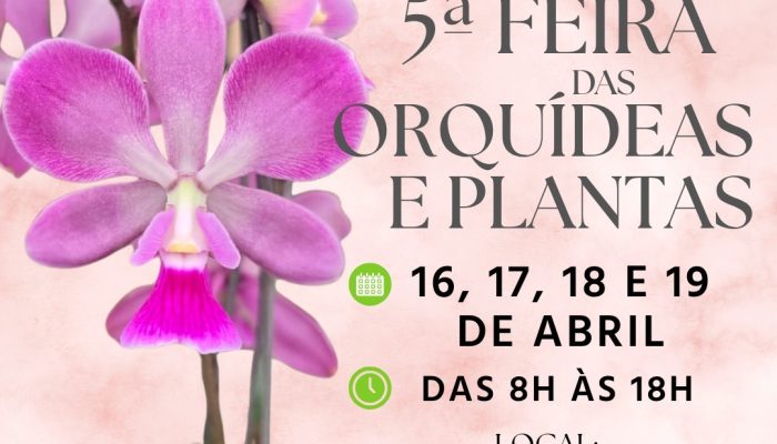 SAVE_20260418_131247