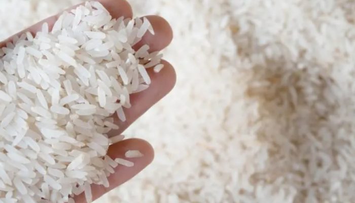 SAVE_20260426_090838